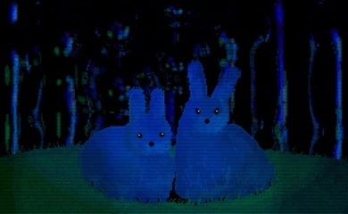 Animal Well DuelSense opinion header image