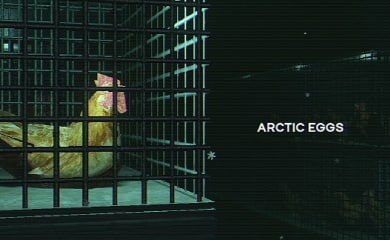 Arctic Eggs header image opinion piece