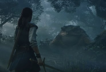Image of the Heroine in front of a toad.